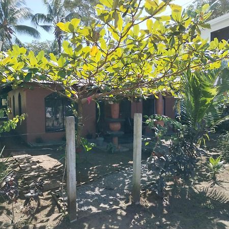 Micheck Beach House تورتوجويرو المظهر الخارجي الصورة