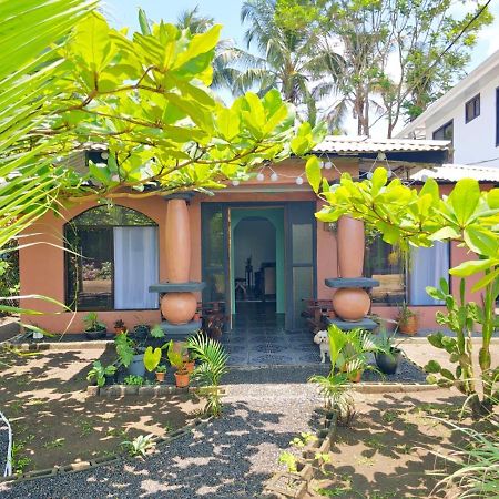 Micheck Beach House تورتوجويرو المظهر الخارجي الصورة